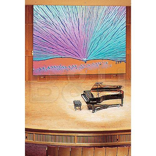 Draper Paragon Motorized Projection Screen - 248 x 332" - 35