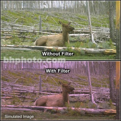 Tiffen 2 x 3" 1 Plum Solid Color Filter