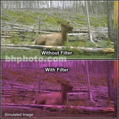 Tiffen 2 x 3" 2 Plum Solid Color Filter