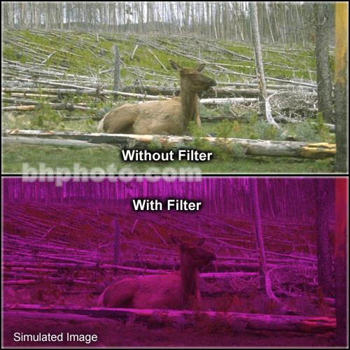 Tiffen 2 x 3" 3 Plum Solid Color Filter