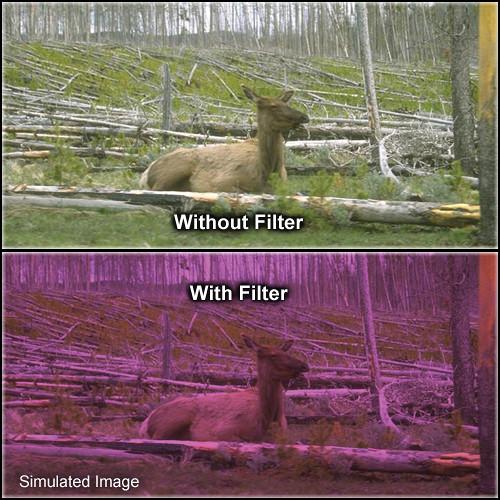 Tiffen 5 x 6" 2 Plum Solid Color Filter