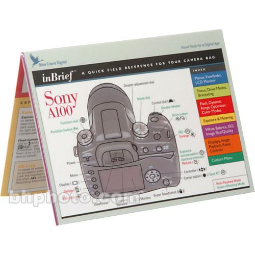Blue Crane Digital Guide: Sony A100 Digital SLR Camera