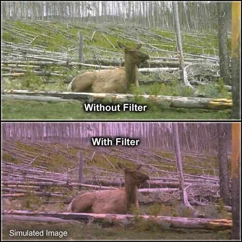 Tiffen 4 x 5" 1 Plum Solid Color Filter