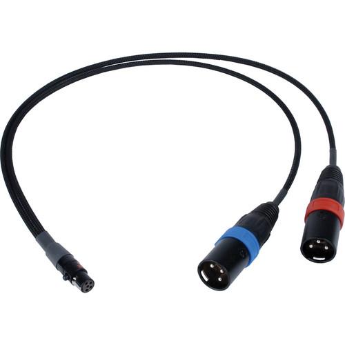 Remote Audio TA5F Y Cable to Two XLR-3M, Left and Right for Zaxcom QRX100 - 18"