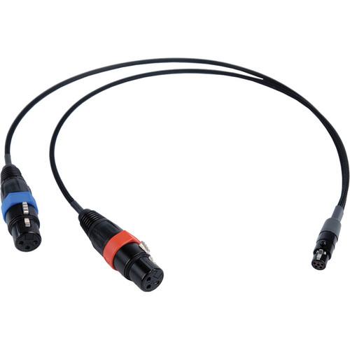 Remote Audio 2 XLR3F to TA5F Balanced Stereo Breakout - 18"