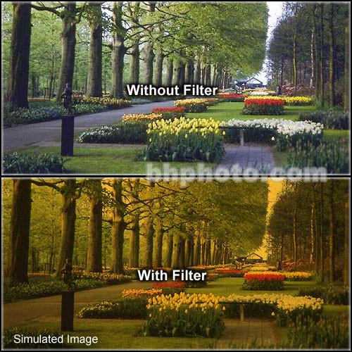 Tiffen 2 x 3" 3 Tangerine