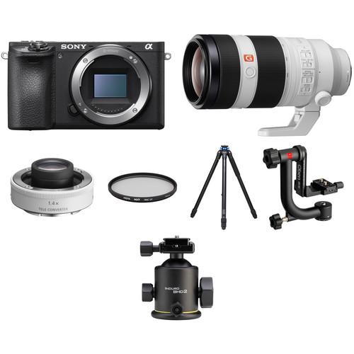 Sony Alpha a6500 with 100-400mm Lens and 1.4x Teleconverter Wildlife Kit