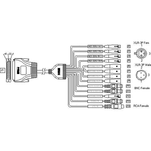 Digigram Cable - VX811HR Balanced Digital I O Replacement Cable