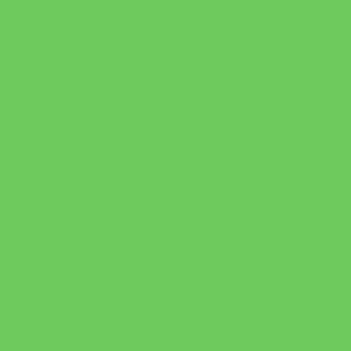 Rosco CalColor #4460 Filter - Green - 24"x25