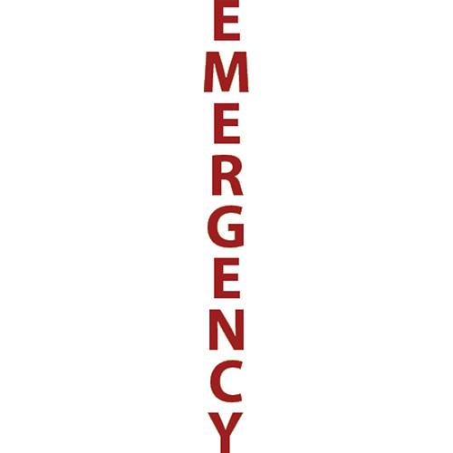 Aiphone "EMERGENCY" Label Option for IS