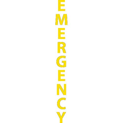 Aiphone "EMERGENCY" Label Option for IS