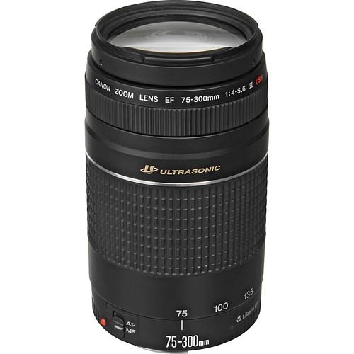 Canon EF 75-300mm f 4-5.6 III