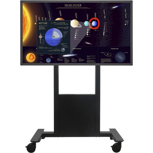NEC 65" Touchscreen Display with Intel