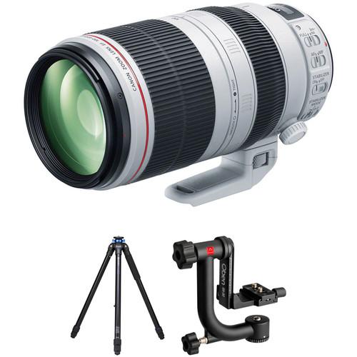 Canon EF 100-400mm f 4.5-5.6L IS