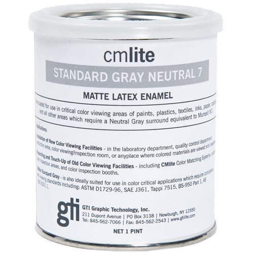 GTI Neutral Gray Paint