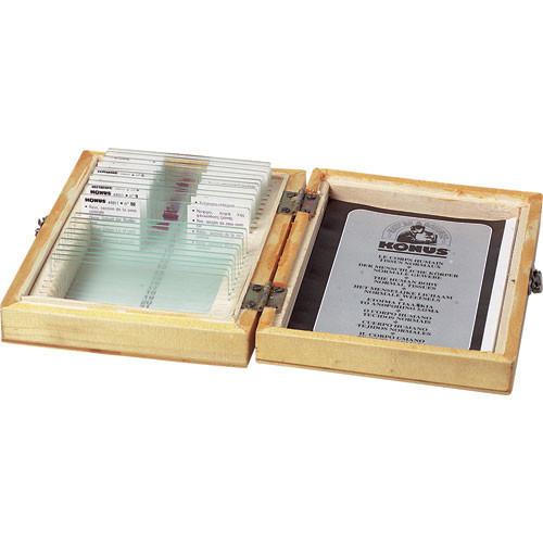 Konus #4977 General Biology Slide Set: Zoology of Invertebrates and Insects