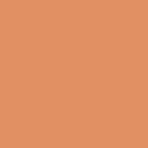 Gam GC368 GamColor Cinnamon Colored Cine Filter #368