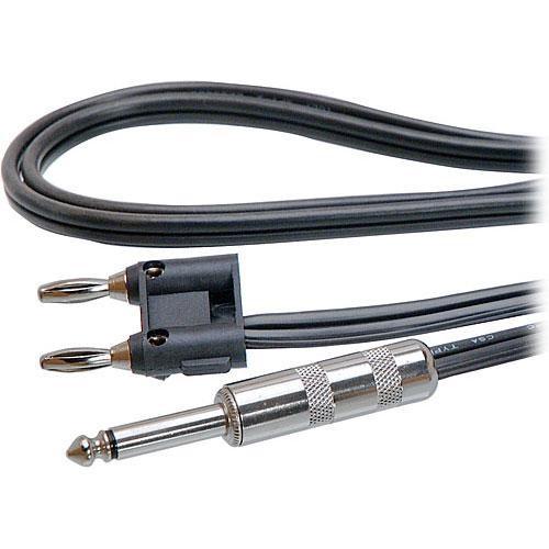 Hosa Technology SKZ-600 Series Banana to 1 4" TS Male Speaker Cable - 3
