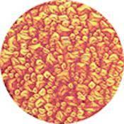 Rosco Colorwave Effects Color Glass Gobo - #33401 - Red Sparkllite