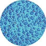 Rosco Colorwave Effects Color Glass Gobo - #33404 - Cyan Sparkllite