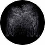 Rosco Standard Color Glass Spectrum Gobo #86698 Winter Arbor