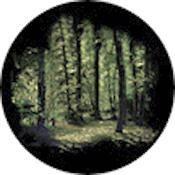 Rosco Standard Color Glass Spectrum Gobo #86701 Spring Glade