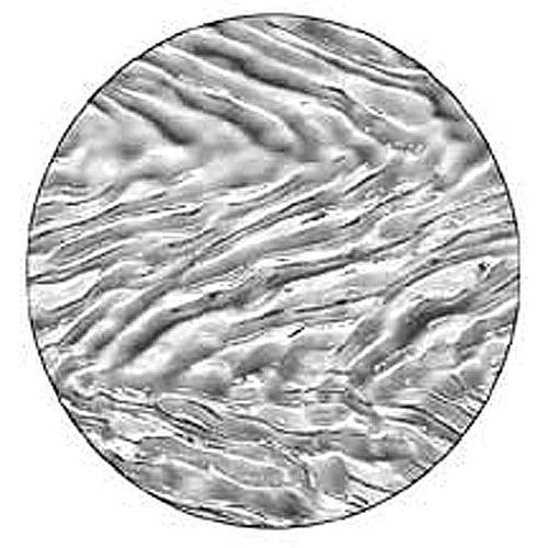 Rosco Image Effects Black and White Glass Gobo - #33621 - Dune