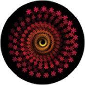 Rosco Standard Color Glass Spectrum Gobo #86649 Autumn Power