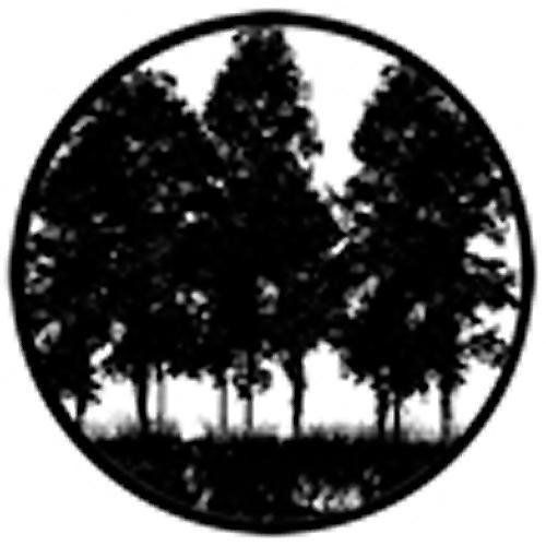 Rosco Standard Steel Gobo #78432B Tree Silhouette 2