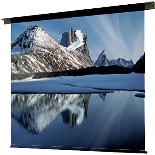 Draper 113004 Ambassador Motorized Projection Screen
