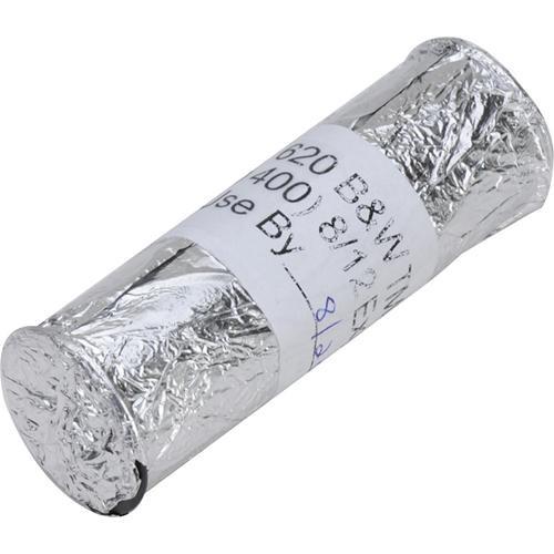 Kodak Professional T-Max 400 Black and White Negative Film