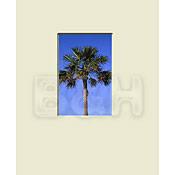 Nielsen & Bainbridge Mat - Fits Gallery and Presentation Frames, 11x14" with 5x7" Opening, Antique White with Bevel - Centered