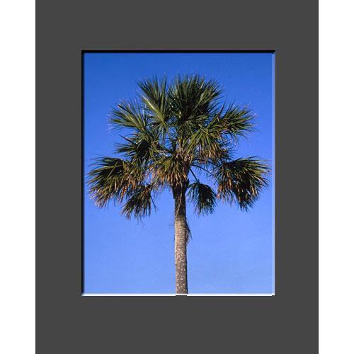 Nielsen & Bainbridge Mat - Fits Gallery and Presentation Frames, 16x20" with 11x14" Opening, Photo Black with Bevel - Centered Format