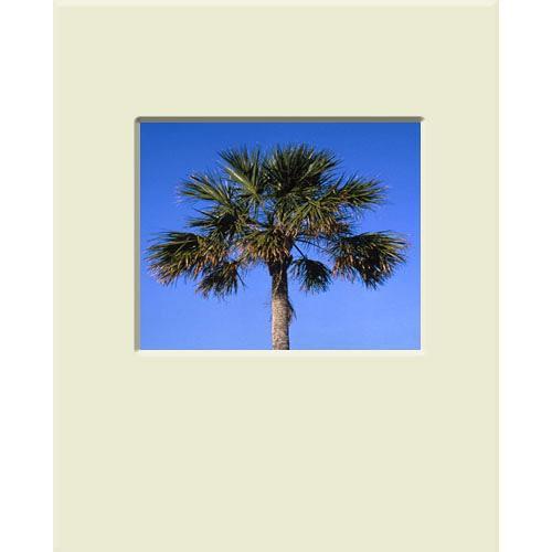 Nielsen & Bainbridge Mat - Fits Gallery and Presentation Frames, 16x20" with 8x10" Opening, Antique White with Bevel - Landscape Format