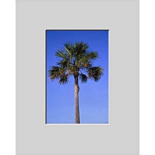 Nielsen & Bainbridge Mat - Fits Gallery and Presentation Frames, 16x20" with 8x12" Opening, Centered