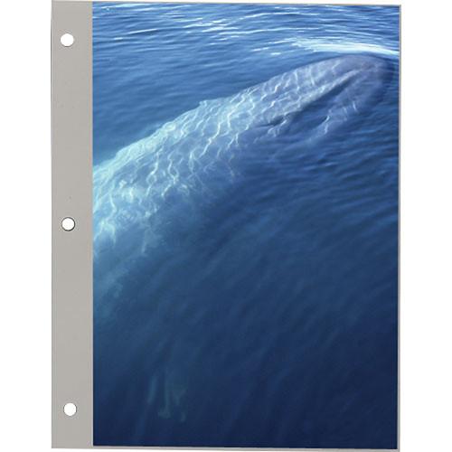 Pioneer Photo Albums Refill Pages for the Pioneer TR-100 and TR-40 Photo Albums