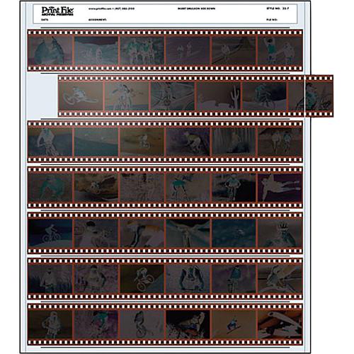 Print File Archival Storage Page for Negatives, 35mm, 7-Strips of 6-Frames - 100 Pack