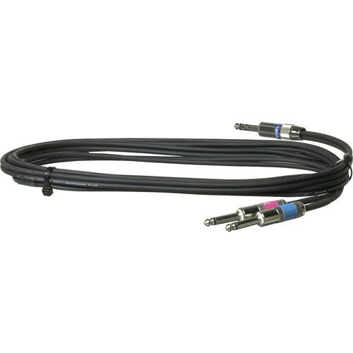Pro Co Sound Insert Y-Cable 1