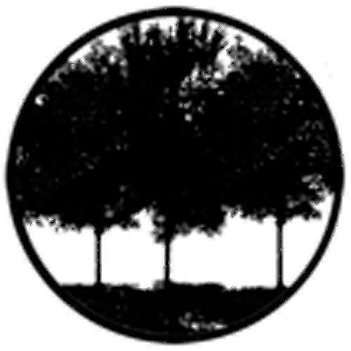 Rosco Standard Steel Gobo #78431B Tree Silhouette 1