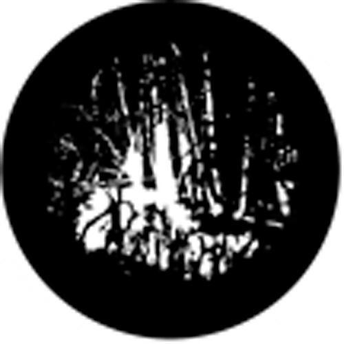Rosco Standard Steel Gobo #78437B Swamp