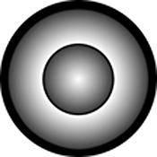 Rosco Standard Black and White Glass Spectrum Gobo #81119 Cone Tone