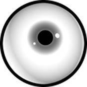 Rosco Standard Black and White Glass Spectrum Gobo #81125 Pupil