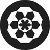 Rosco Standard Black and White Glass Spectrum Gobo #81147 Block Head