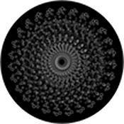 Rosco Standard Black and White Glass Spectrum Gobo #81153 Fizzy Lifting