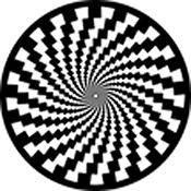 Rosco Standard Black and White Glass Spectrum Gobo #81156 Dissent