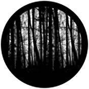 Rosco Standard Black and White Glass Spectrum Gobo #81175 Blair Woods