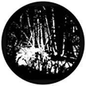 Rosco Standard Black and White Glass Spectrum Gobo #81176 Swamped