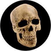 Rosco Standard Color Glass Spectrum Gobo #86687 Yorick Skull