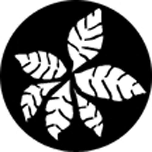 Rosco Standard Steel Gobo #78427B Fronds