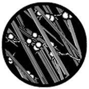 Rosco Standard Steel Gobo #78534B Bamboo Flower